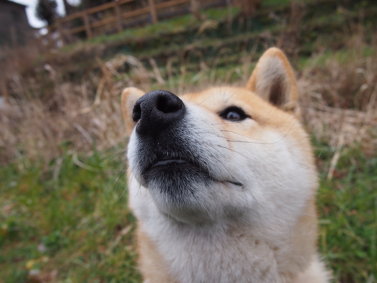 体育产业品牌联盟建设方案，体育产业品牌联盟建设方案范文