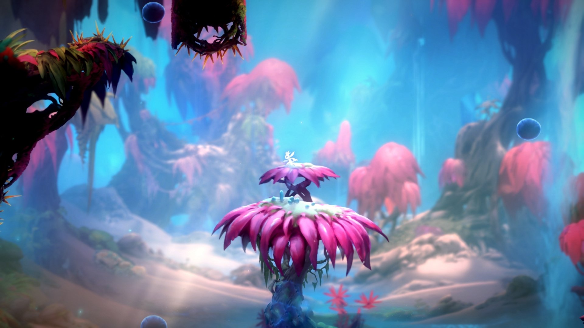 体育产业品牌联盟建设方案,体育产业品牌联盟建设方案范文