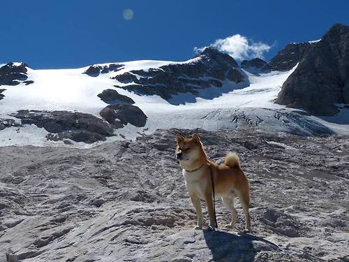 东契奇内外兼修带领独行侠稳住局势，东契奇39分独行侠再胜快船