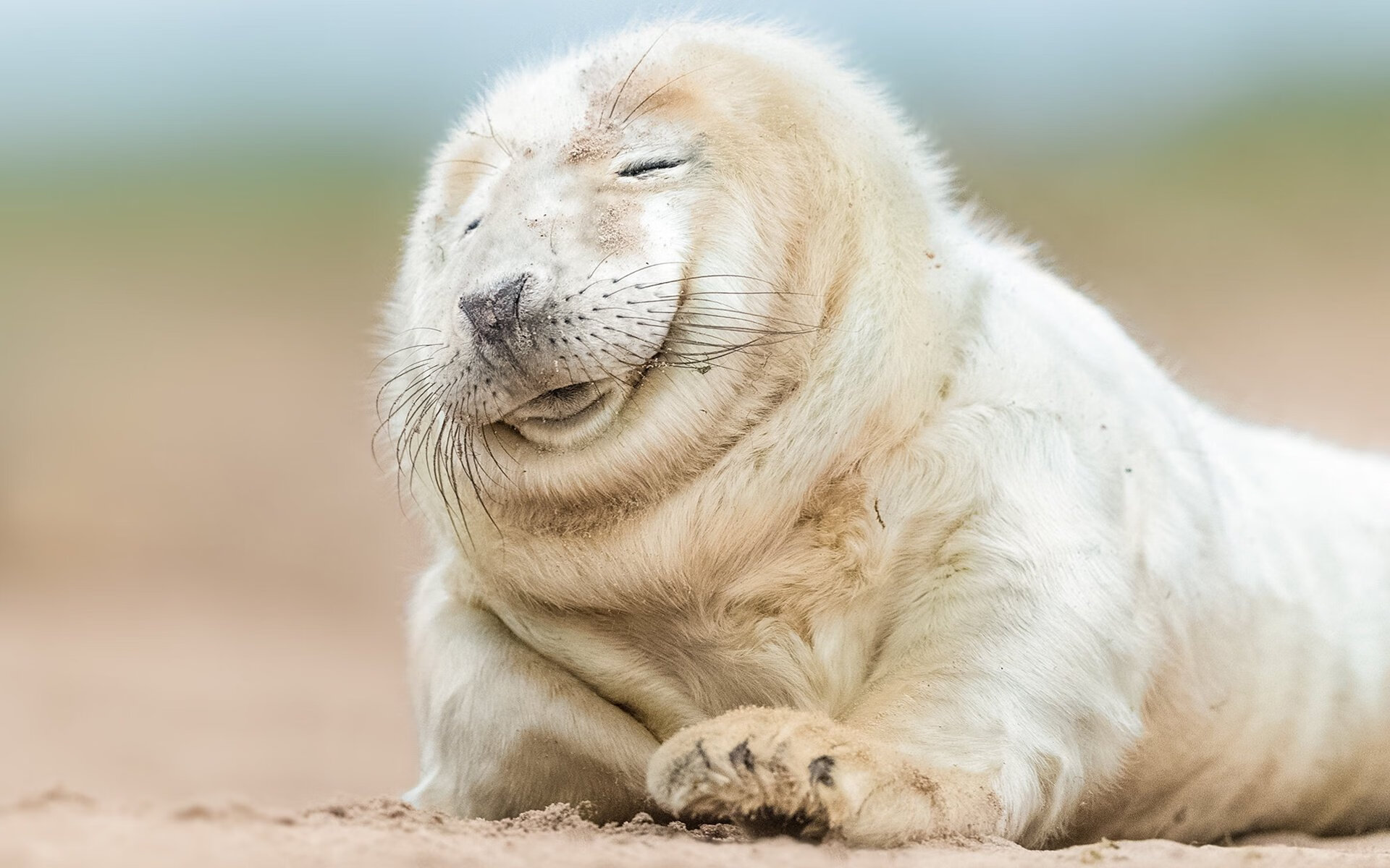 新赛季球衣设计融合传统文化元素提升视觉传播影响力，2021赛季球衣有芯片吗