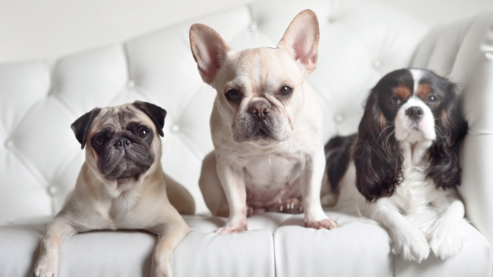 电子竞技足球联赛火爆，传统体育与虚拟竞技结合逐渐深化，电子竞技足球队