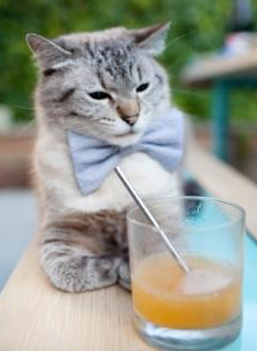 苏炳添参与科技团队共同研发训练仪，苏炳添试训