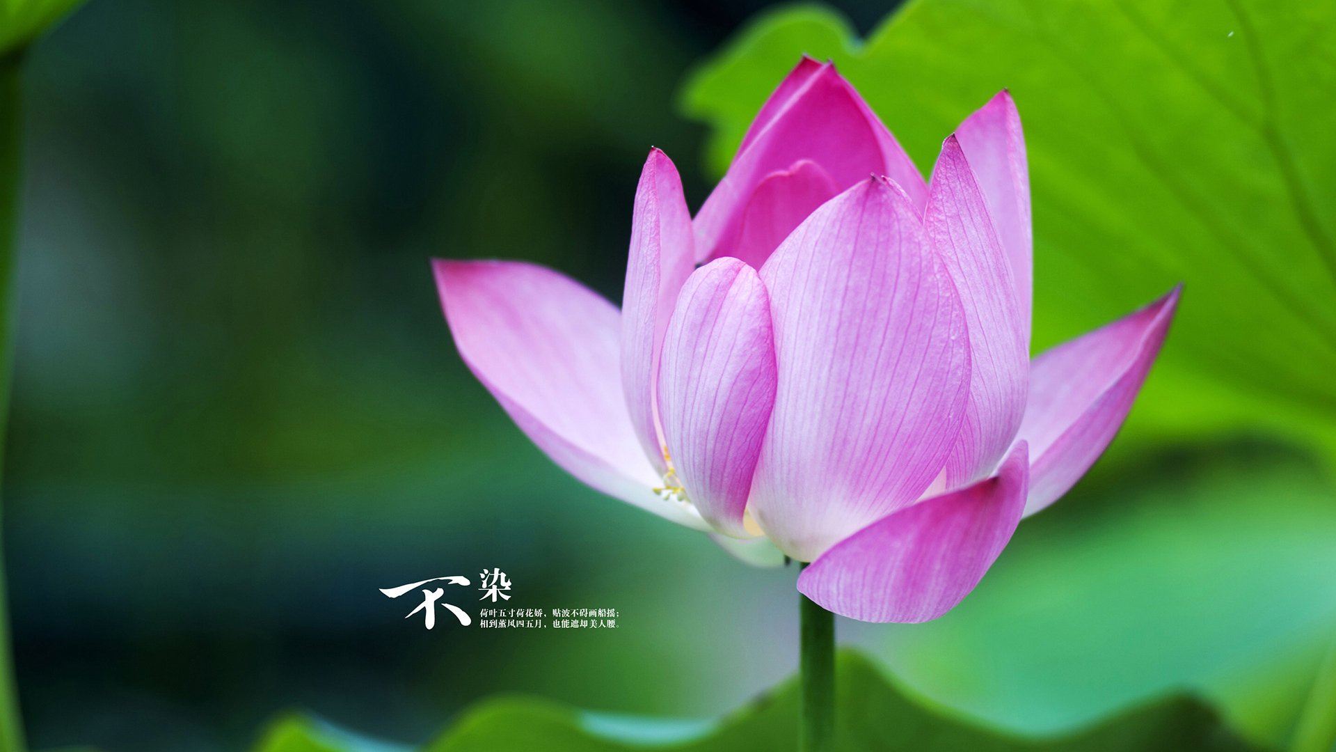 西班牙青年队在欧洲青年锦标赛中展现出色水平