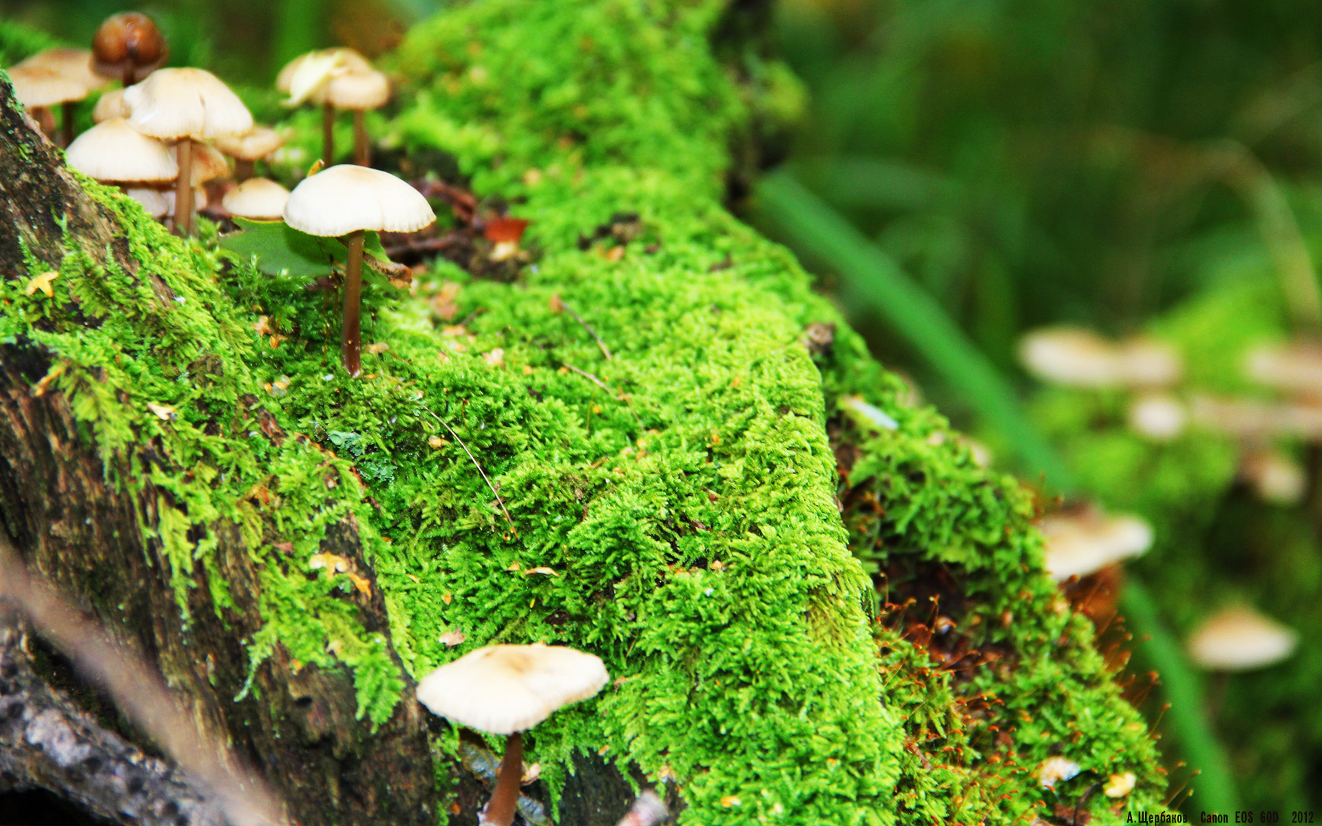 高校篮球精英挑战赛助力大学体育发展，大学校园篮球比赛